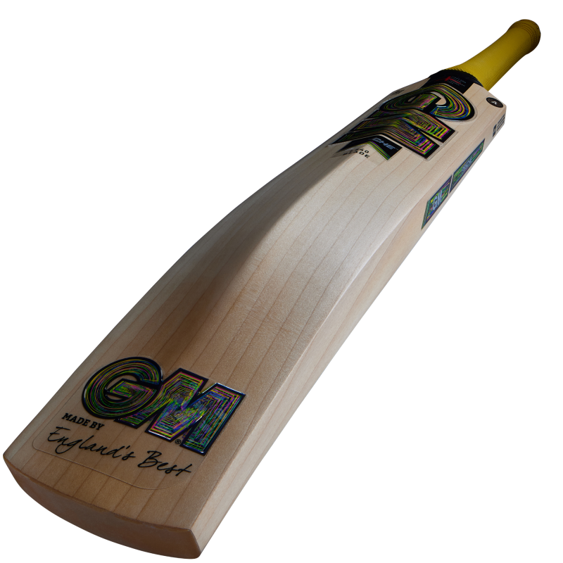 GM Psyche 909 Cricket Bat