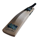 GM Aion 808 Cricket Bat