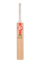 SG Profile Classic Kashmir Willow Cricket bat