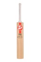 SG Profile Classic Kashmir Willow Cricket bat