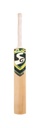 SG Savage Plus Kashmir Willow Cricket bat