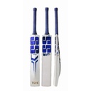 SS SKY MS Cricket Bat