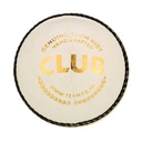 SG Club Cricket Ball - White