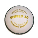 SG Shield 30 Cricket Ball - White