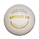 SG Shield 20 Cricket Ball - White