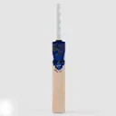 SG Sierra 250 Cricket Bat