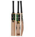 SS Professional Cricket Bat