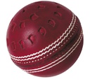 GM Chevron Swing Cricket Ball