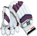 SS Tournament Batting Cricket Glove