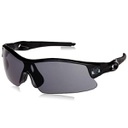 SS Professional Cricket Sunglasses With Case