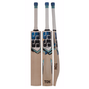 SS Blast Cricket Bat