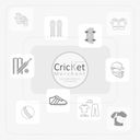 TON Player Edition Cricket Bat - Youth/Boys