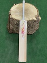 Phantom Vengeance Players Cricket Bat