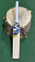 SG IK Players Cricket Bat